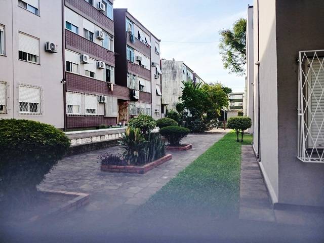 APV0884